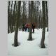 28_02_2010 lagdei 018.JPG